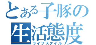 とある子豚の生活態度（ライフスタイル）