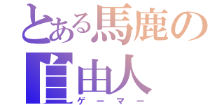 とある馬鹿の自由人（ゲーマー）