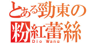 とある勁東の粉紅蕾絲（Ｄｉｏ Ｗａｎｇ）