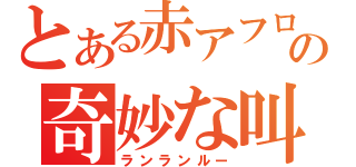 とある赤アフロの奇妙な叫び（ランランルー）