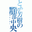 とある芳樹の頭部中央（クレーター）