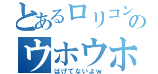 とあるロリコンのウホウホ実況（はげてないよｗ）