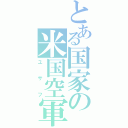 とある国家の米国空軍（ユサフ）