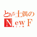 とある土偶のＮｅｗＦａｃｅ（新しい顔）