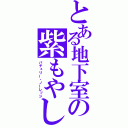 とある地下室の紫もやし（パチュリー・ノーレッジ）