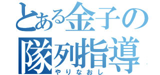 とある金子の隊列指導（やりなおし）