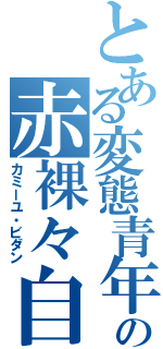 とある変態青年の赤裸々自慰（カミーユ・ビダン）