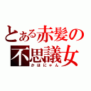 とある赤髪の不思議女（かほにゃん）