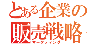 とある企業の販売戦略（マーケティング）