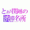 とある関越の渋滞名所（練馬インター）