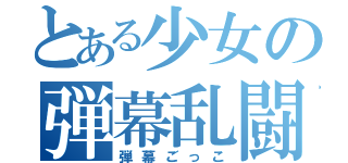 とある少女の弾幕乱闘（弾幕ごっこ）