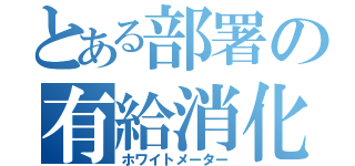 とある部署の有給消化率（ホワイトメーター）