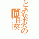 とある業火の向日葵（サンフラワー）