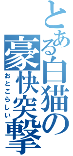 とある白猫の豪快突撃（おとこらしい）