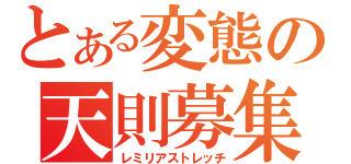 とある変態の天則募集（レミリアストレッチ）