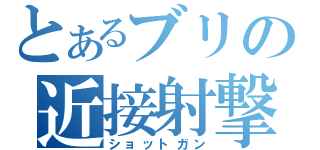 とあるブリの近接射撃（ショットガン）