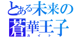 とある未来の蒼華王子ｖ３（カイト）