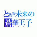 とある未来の蒼華王子ｖ３（カイト）