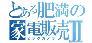 とある肥満の家電販売Ⅱ（ビックカメラ）