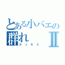 とある小バエの群れⅡ（カソモス）