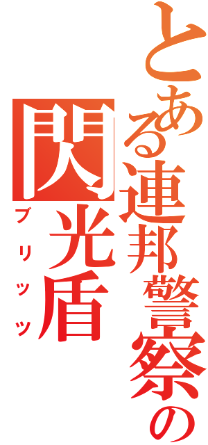 とある連邦警察の閃光盾（ブリッツ）