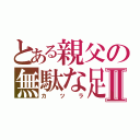 とある親父の無駄な足掻きⅡ（カツラ）