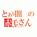 とある闇の赤毛さん（記憶したか？）