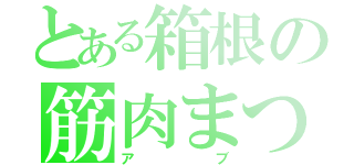 とある箱根の筋肉まつ毛（アブ）