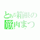 とある箱根の筋肉まつ毛（アブ）