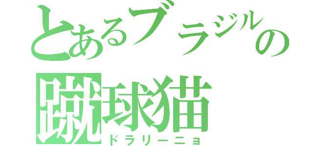 とあるブラジルの蹴球猫（ドラリーニョ）