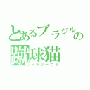 とあるブラジルの蹴球猫（ドラリーニョ）