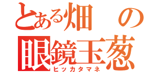 とある畑の眼鏡玉葱（ヒッカタマネ）