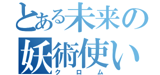 とある未来の妖術使い（クロム）