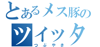 とあるメス豚のツイッター（つぶやき）