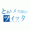 とあるメス豚のツイッター（つぶやき）