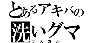 とあるアキバの洗いグマ（ラスカル）