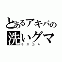 とあるアキバの洗いグマ（ラスカル）