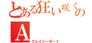 とある狂い咲く少年のＡ（クレイジーボーイ）