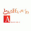 とある狂い咲く少年のＡ（クレイジーボーイ）