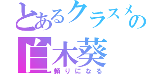 とあるクラスメイトの白木葵（頼りになる）