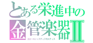 とある栄進中の金管楽器Ⅱ（エネールジャスティスモルティス）