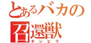 とあるバカの召還獣（チンピラ）