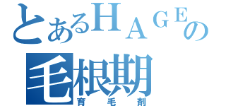 とあるＨＡＧＥの毛根期（育毛剤）