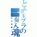 とある玉ブラの一奏入魂（全力演奏）