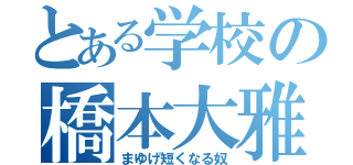 とある学校の橋本大雅（まゆげ短くなる奴）