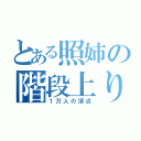 とある照姉の階段上り（１万人の頂点）