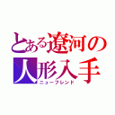 とある遼河の人形入手（ニューフレンド）