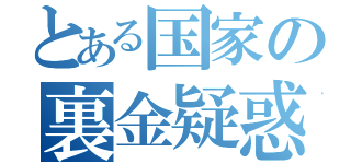 とある国家の裏金疑惑（）