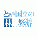 とある国立の林 悠游（マジキチ）