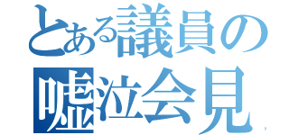 とある議員の嘘泣会見（）